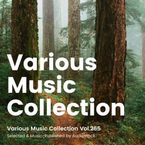 ดาวน์โหลดและฟังเพลง Suspects พร้อมเนื้อเพลงจาก Tomoyuki Minagare