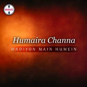 Dengarkan lagu Insan Ka Us Ne nyanyian Humaira Channa dengan lirik
