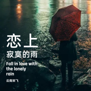 收听云南宋飞的恋上寂寞的雨歌词歌曲