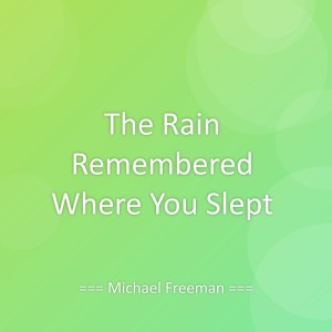 Album The Rain Remembered Where You Slept from Michael Freeman