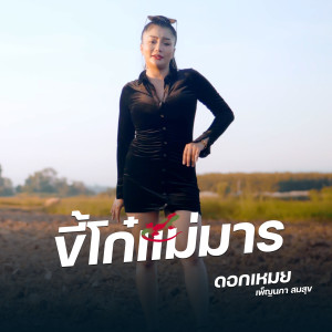 Album ขี้โก๋แม่มาร from ดอกเหมย เพ็ญนภา