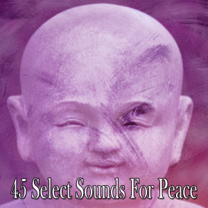 收听Sound Library XL的Unshackled歌词歌曲