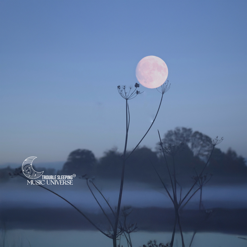 Serene Dream Enhancement