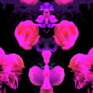 Listen to Deluca song with lyrics from Ruby Empress