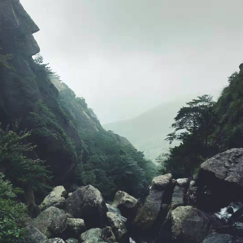 熊好野