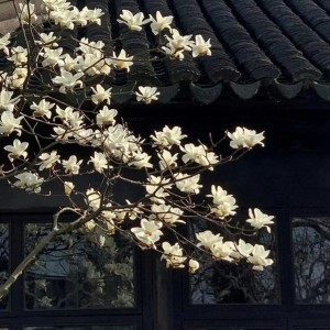 Listen to Keep Low song with lyrics from 李负眠
