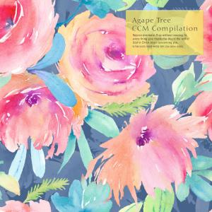 Album CCM Piano Collection For Warm Sleep Of Agape Tree from 