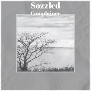 收听Ande Sush的Liquidizer歌词歌曲