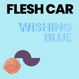 Flesh Car的專輯Wishing Blue (feat. Craig Wedren, Jherek Bischoff & Jacob Richards)