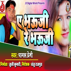 Album Ye Bhauji Re Bhauji from Pagal Premi