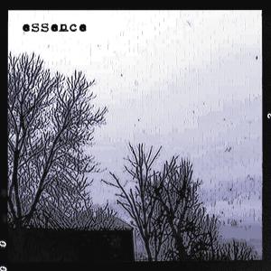 的专辑essence