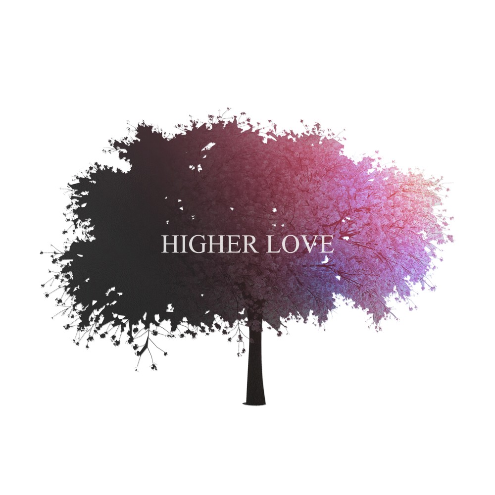 Higher Love