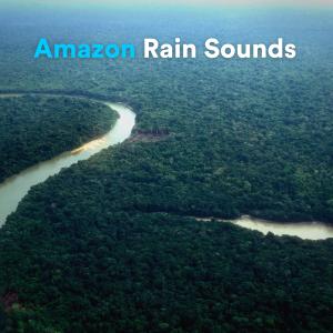 Album Amazon Rain Sounds oleh The Sound of the Rain