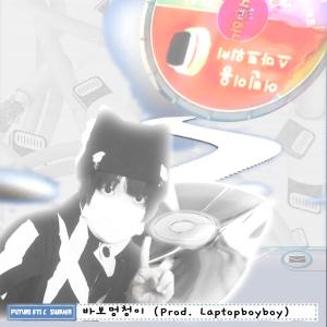 ดาวน์โหลดและฟังเพลง 바보멍청이 พร้อมเนื้อเพลงจาก Futuristic Swaver