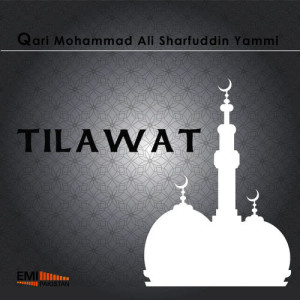 收聽Qari Mohammad Ali Sharfuddin Yamni的Surah Rahman歌詞歌曲