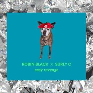 Robin Black的專輯EASY REVENGE (Explicit)