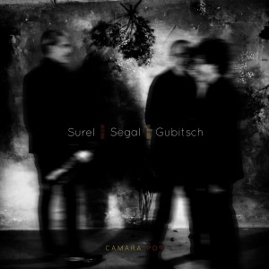收听Vincent Segal的Le signe歌词歌曲