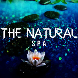 ดาวน์โหลดและฟังเพลง Peace by the Brook พร้อมเนื้อเพลงจาก SPA