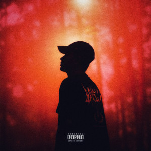 Listen to 113 Code (Explicit) song with lyrics from Ozflow