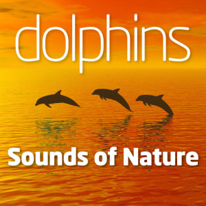 收聽Sounds Of Nature的Dolphins Delight 1歌詞歌曲