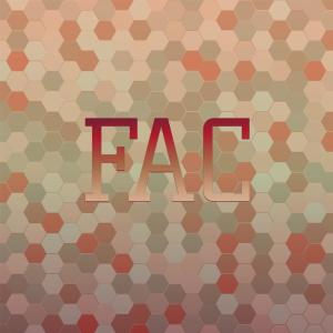Listen to Few Insisted song with lyrics from Zule Koho