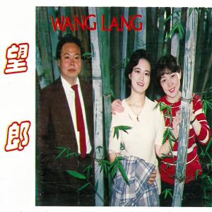 Listen to 竹乡行 song with lyrics from 柳石明