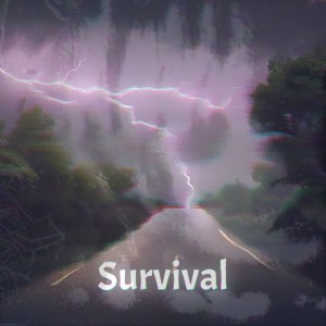 Listen to Survival song with lyrics from Stalfun