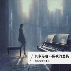 Album 贝多芬也不懂我的悲伤 (DJ默涵版) from 将门