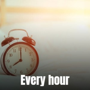 Various Artist的專輯Every hour