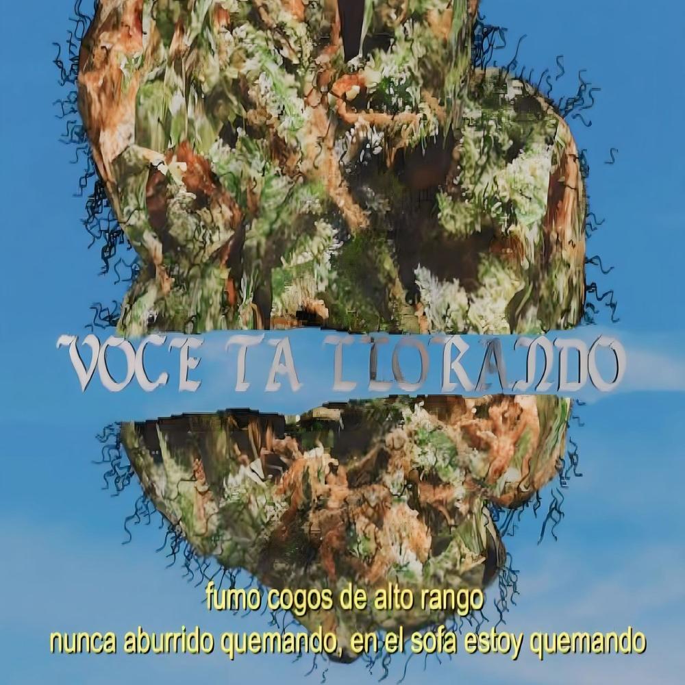 Voce ta llorando? (feat. Lonzo) (Explicit)