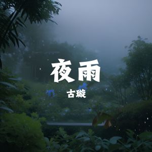 Album 夜雨 from 古璇