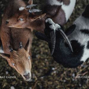 ดาวน์โหลดและฟังเพลง LFG พร้อมเนื้อเพลงจาก Divisioner