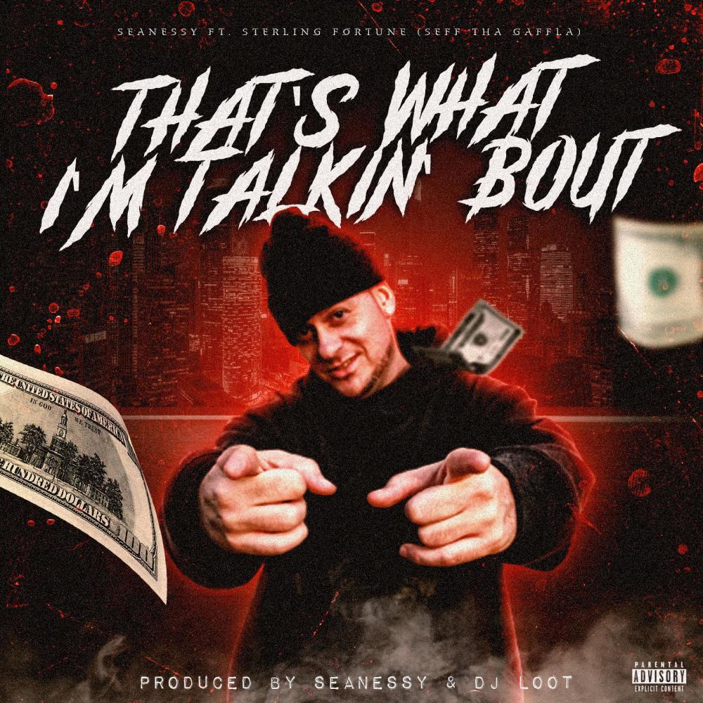 That's What I'm Talkin' Bout (feat. Sterling Fortune) (Explicit)