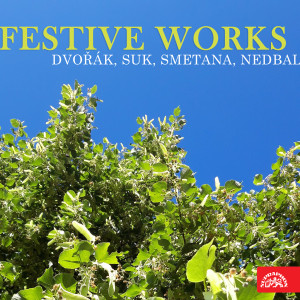 Listen to Festival March, Op. 54, B. 88 song with lyrics from Brno Radio Symphony Orchestra