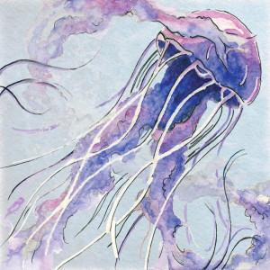 Listen to Sensory Overload song with lyrics from HAAK