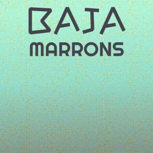 Various Artists的专辑Baja Marrons