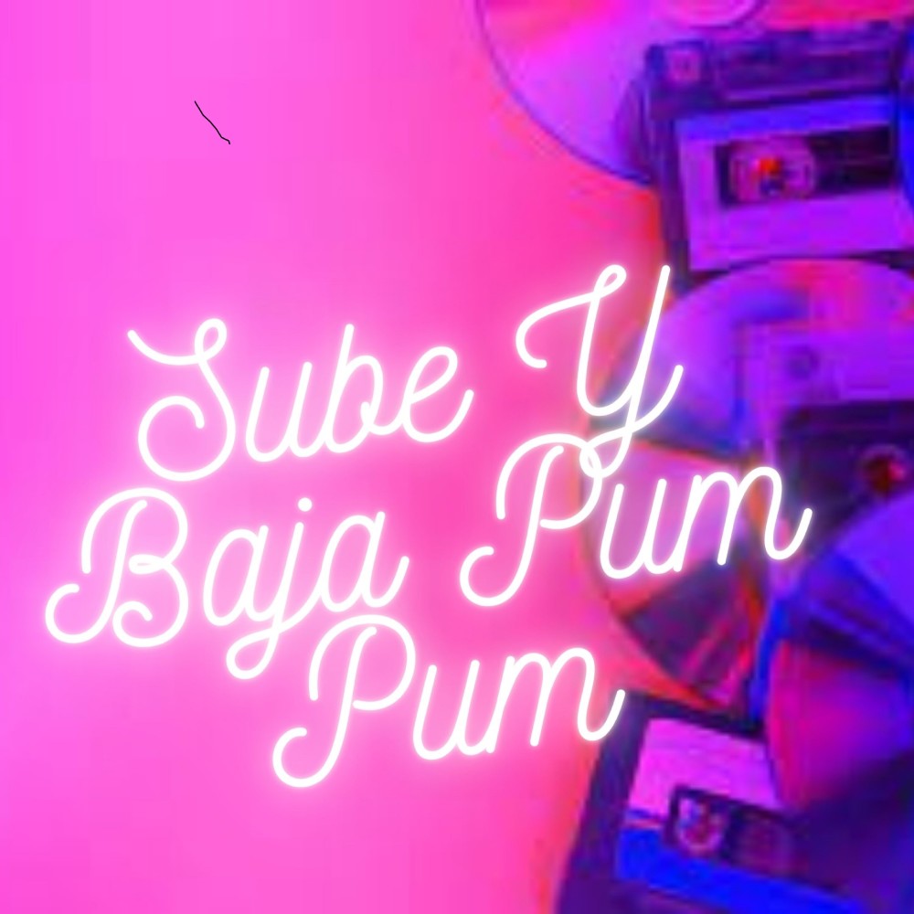 Sube y Baja Pum Pum