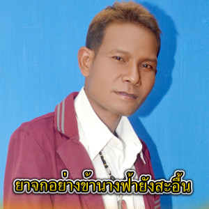 Album ยาจกอย่างข้านางฟ้ายังสะอื้น from เงาะ งอกงาม