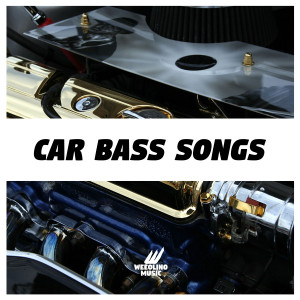 Various的专辑Car Bass Songs (Explicit)