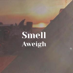 Dengarkan Sterno Cow lagu dari Napor Dith dengan lirik