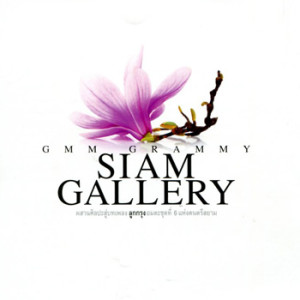 收聽Saranya的สิ้นสวาท歌詞歌曲