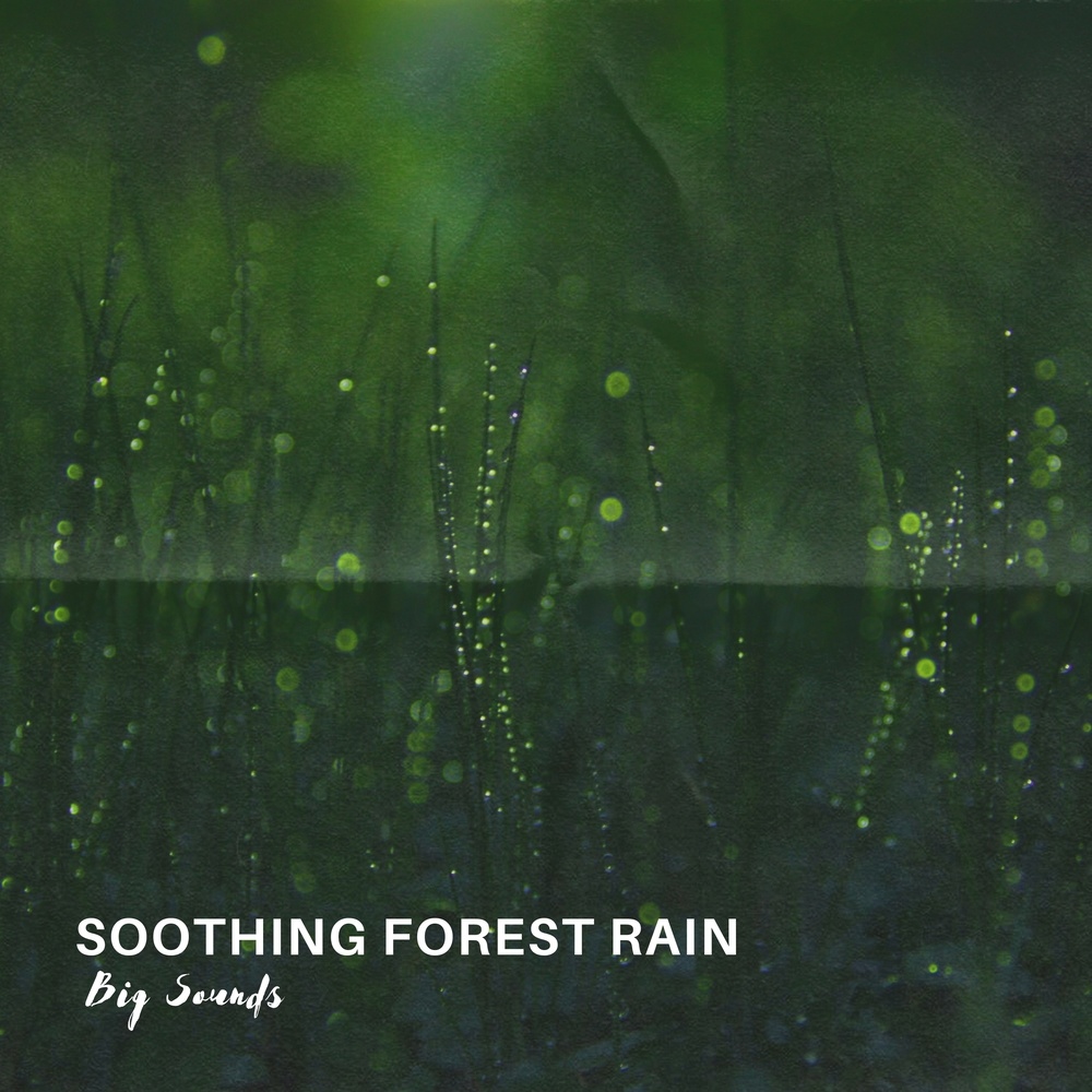 Soothing Forest Rain
