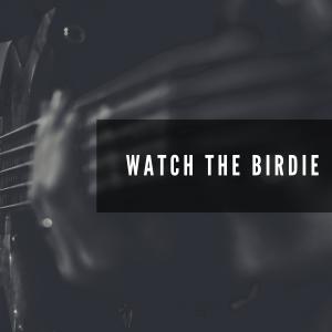 Dengarkan Watch the Birdie lagu dari Leo Mathisen Orkester dengan lirik