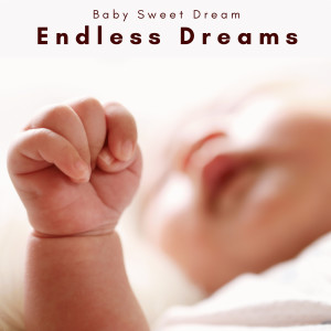 อัลบัม 2022 Endless Dreams ศิลปิน Baby Sweet Dream
