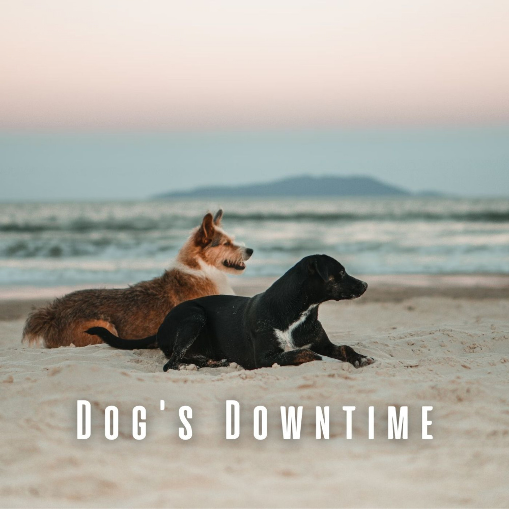 Tranquil Music for Chill Paws