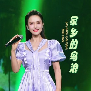 Listen to 家乡的鸟浪 (完整版) song with lyrics from 王紫菲