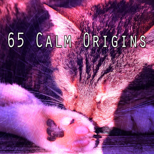 65 Calm Origins