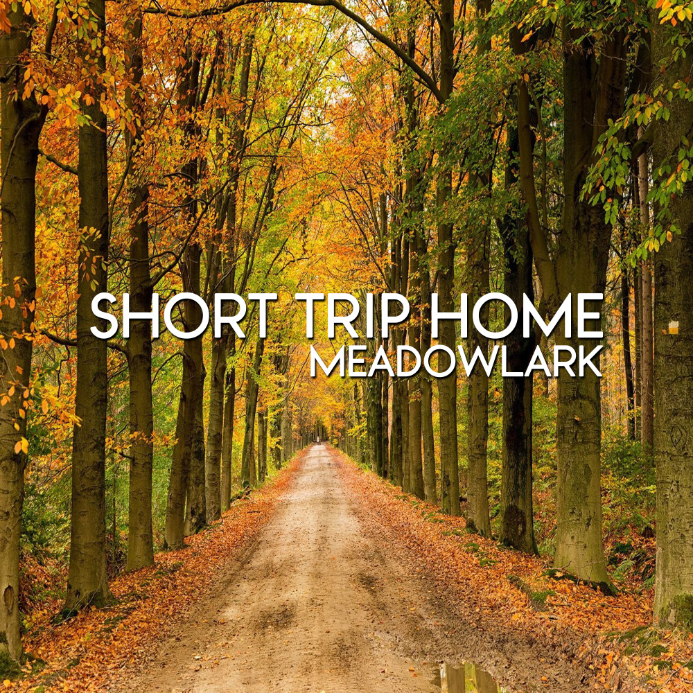 Short Trip Home