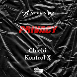 Album Privacy (Remix) from Alpha