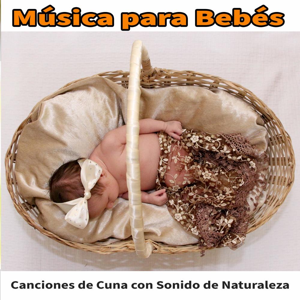 Un mundo de juguetes
